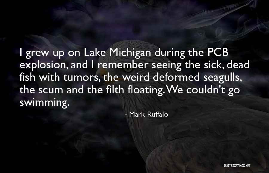 Lakes Of Michigan Quotes By Mark Ruffalo Lakes Of Michigan Quotes By Mark Ruffalo
