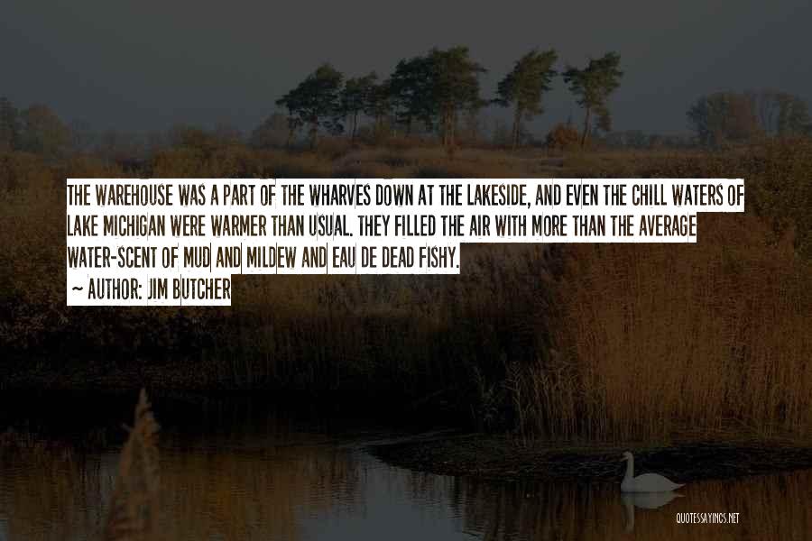 Lakeside Quotes By Jim Butcher