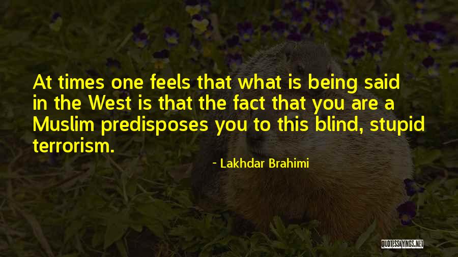 Lakhdar Brahimi Quotes 2076570 Lakhdar Brahimi Quotes 2076570