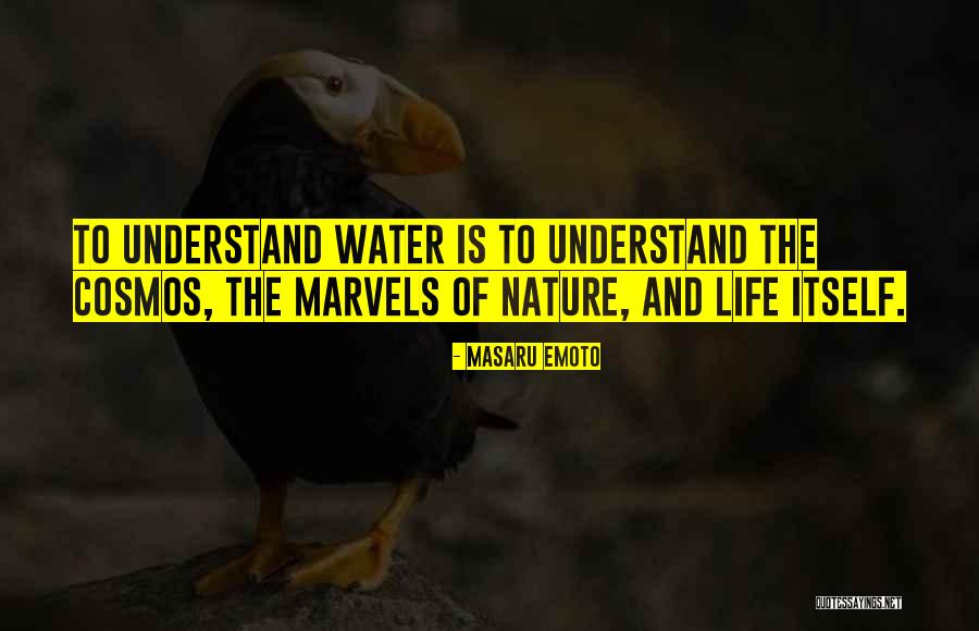 Lakhs To Rupees Quotes By Masaru Emoto Lakhs To Rupees Quotes By Masaru Emoto