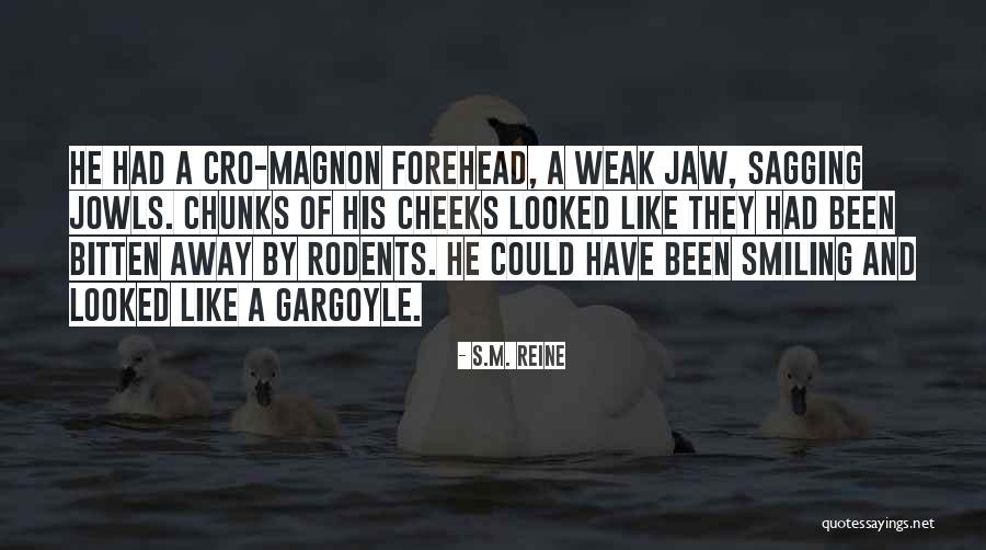 Lakkhisarai Quotes By S.M. Reine Lakkhisarai Quotes By S.M. Reine