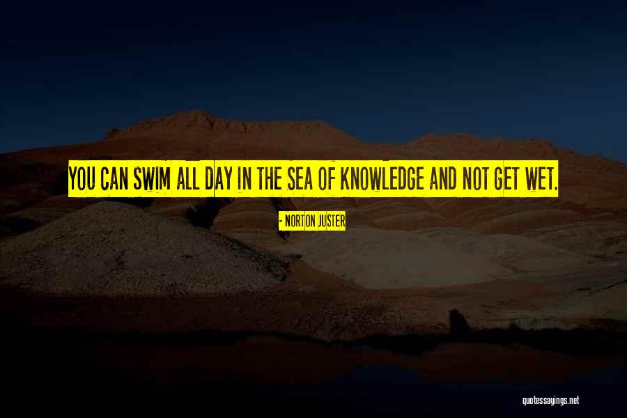 Lakshmikanth Namburi Quotes By Norton Juster Lakshmikanth Namburi Quotes By Norton Juster