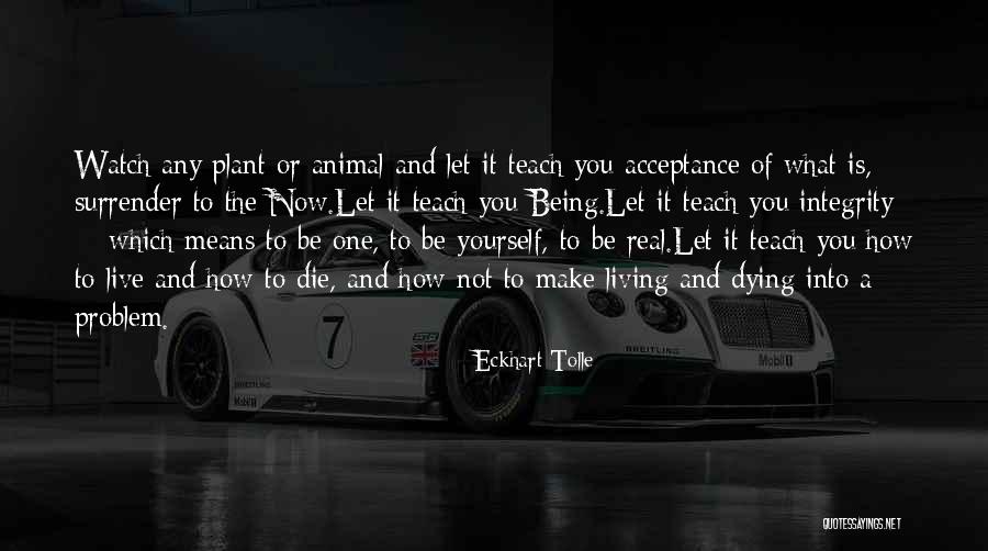 Lally Chevrolet Quotes By Eckhart Tolle