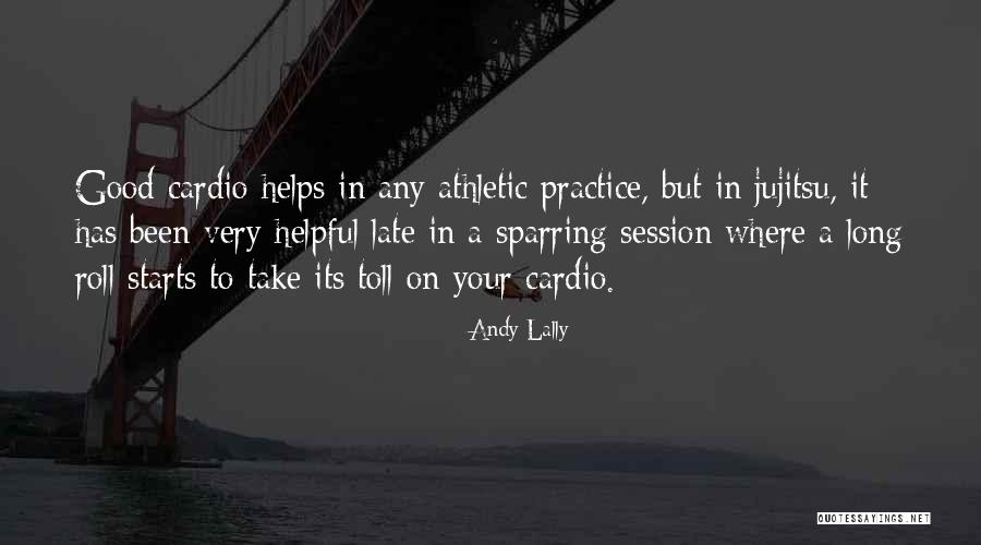 Lally Quotes By Andy Lally Lally Quotes By Andy Lally
