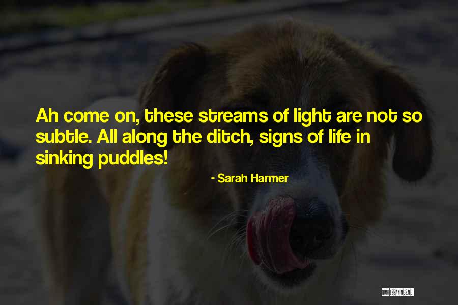 Laloosh Jersey Quotes By Sarah Harmer Laloosh Jersey Quotes By Sarah Harmer
