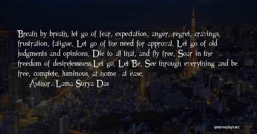 Lama Surya Das Quotes 190133