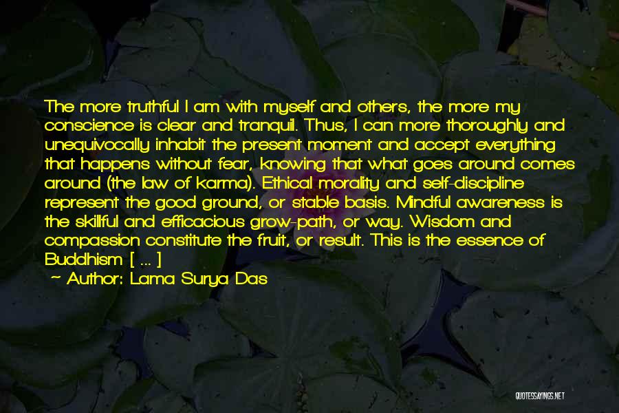 Lama Surya Das Quotes 1927474