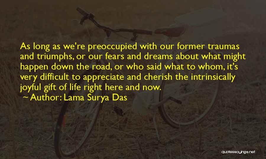 Lama Surya Das Quotes 2063376