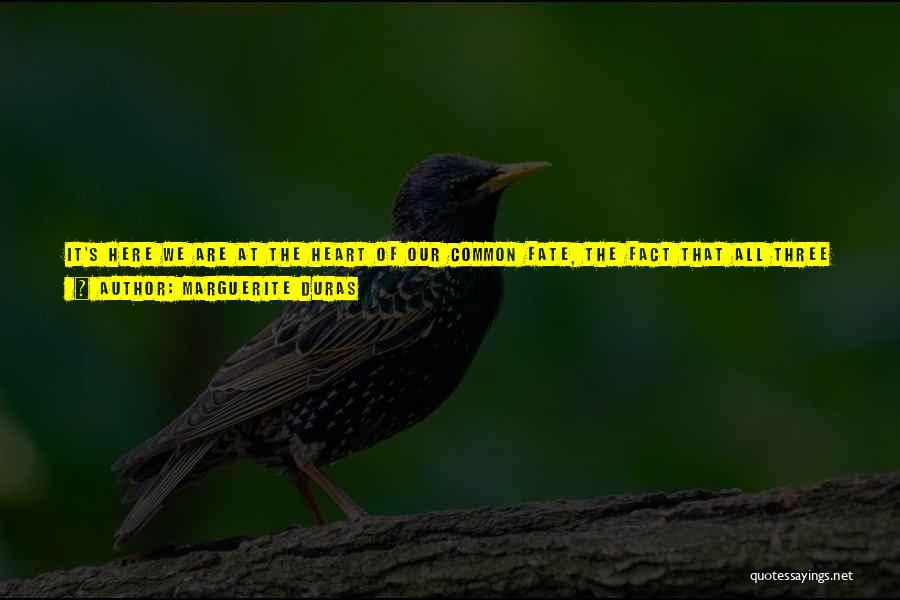 L'amant Marguerite Duras Quotes By Marguerite Duras L'amant Marguerite Duras Quotes By Marguerite Duras