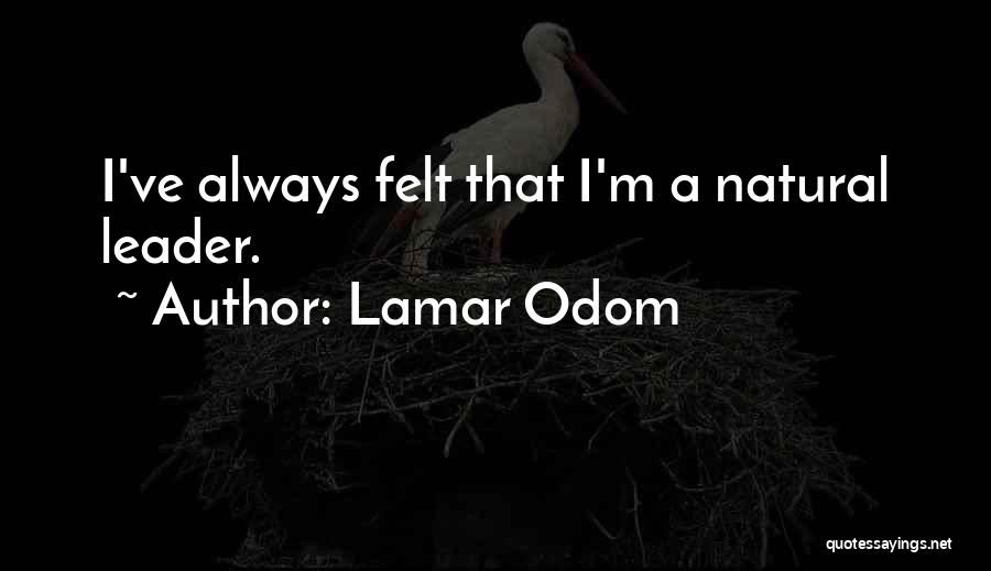 Lamar Odom Quotes 221600