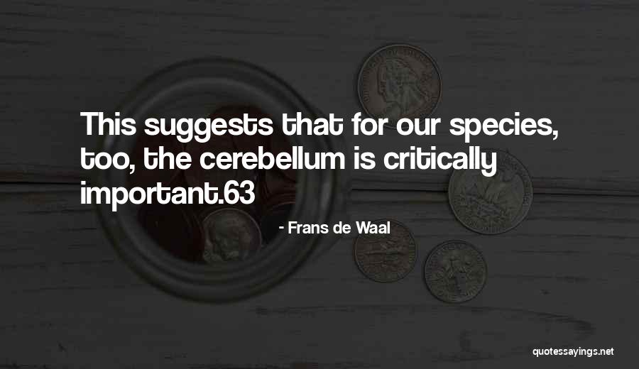 Lamarra Name Quotes By Frans De Waal Lamarra Name Quotes By Frans De Waal
