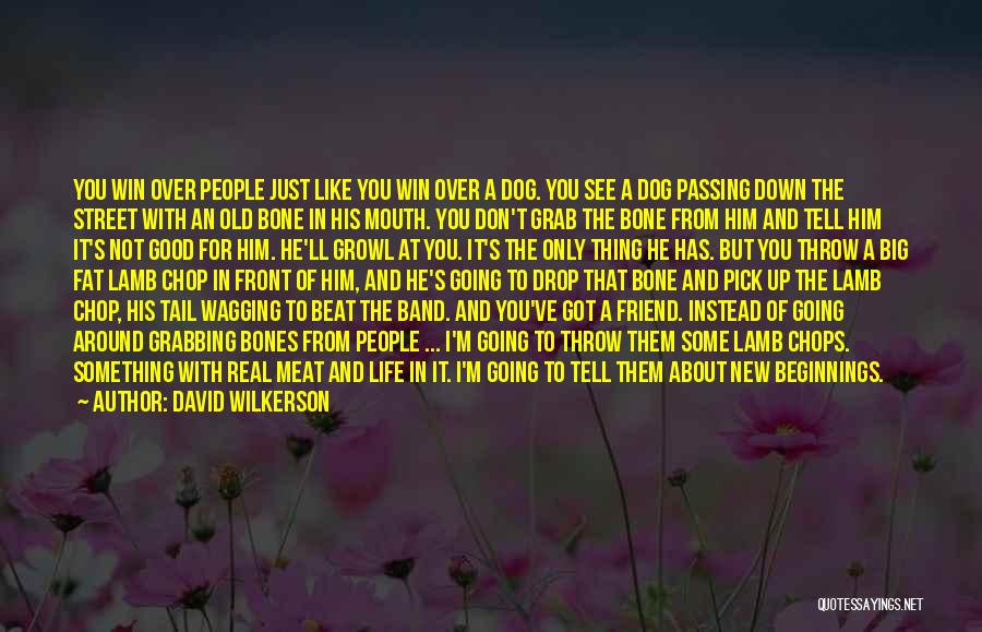 Lamb Chops Quotes By David Wilkerson