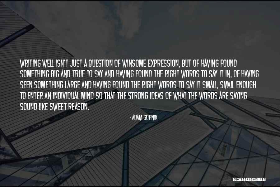 Lambeth Troxler Quotes By Adam Gopnik Lambeth Troxler Quotes By Adam Gopnik