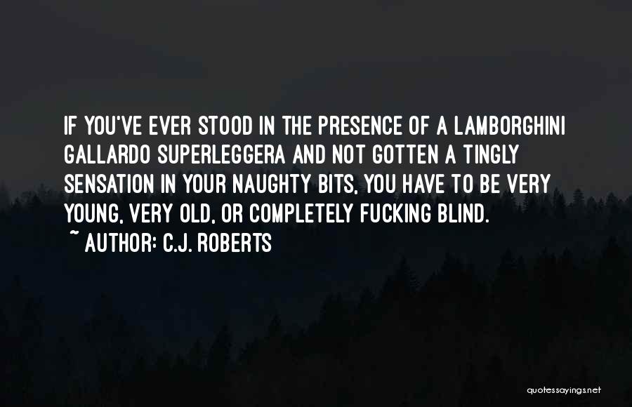 Lamborghini Quotes By C.J. Roberts
