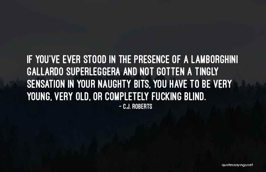 Lamborghini Quotes By C.J. Roberts Lamborghini Quotes By C.J. Roberts