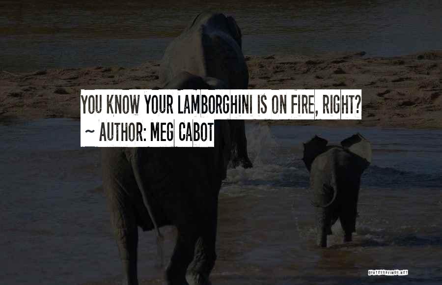 Lamborghini Quotes By Meg Cabot