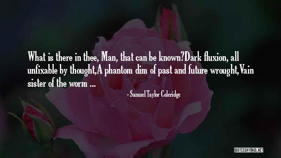 Lambretta Works Quotes By Samuel Taylor Coleridge Lambretta Works Quotes By Samuel Taylor Coleridge