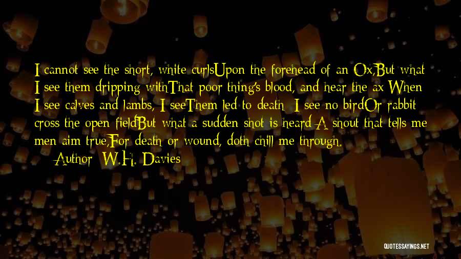 Lambs Quotes By W.H. Davies