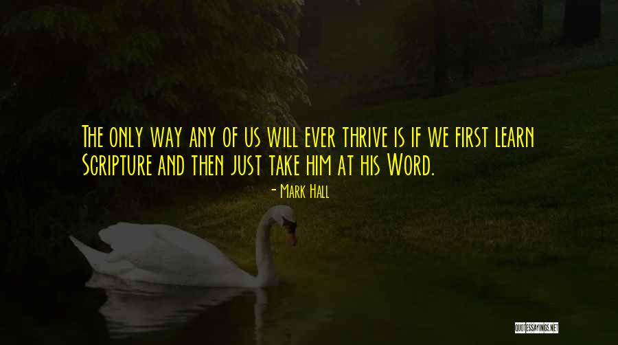 Lamden Tau Quotes By Mark Hall Lamden Tau Quotes By Mark Hall