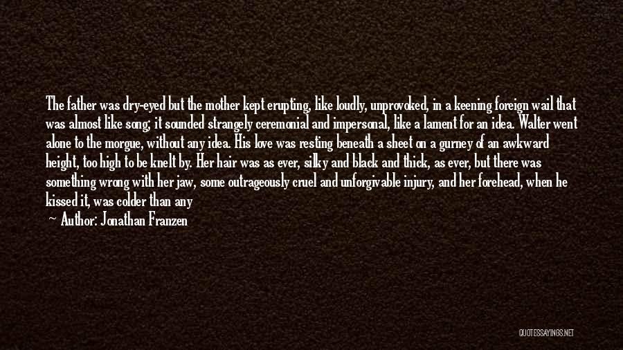 Lament Quotes By Jonathan Franzen