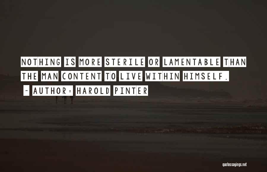 Lamentable Quotes By Harold Pinter