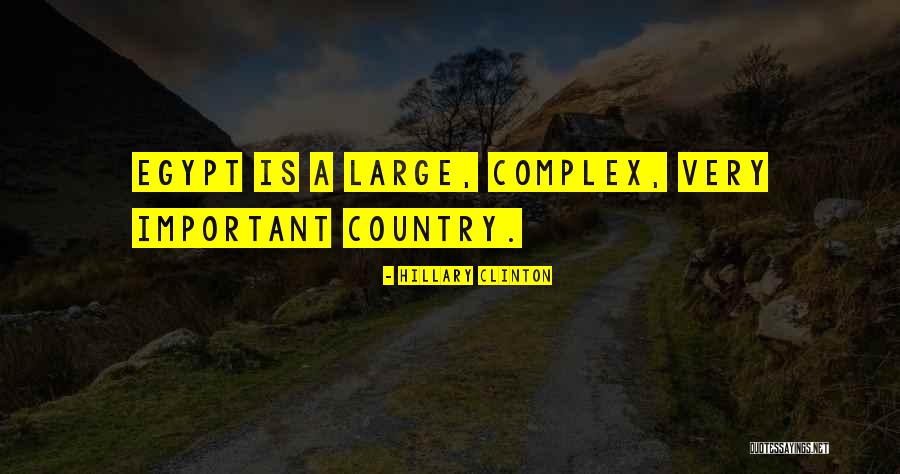 Lamentably Scanty Quotes By Hillary Clinton