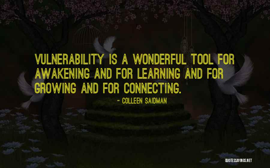Lamerica Quotes By Colleen Saidman Lamerica Quotes By Colleen Saidman