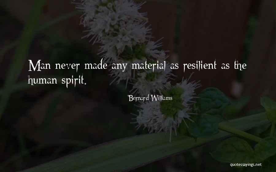 Lamerte Quotes By Bernard Williams Lamerte Quotes By Bernard Williams
