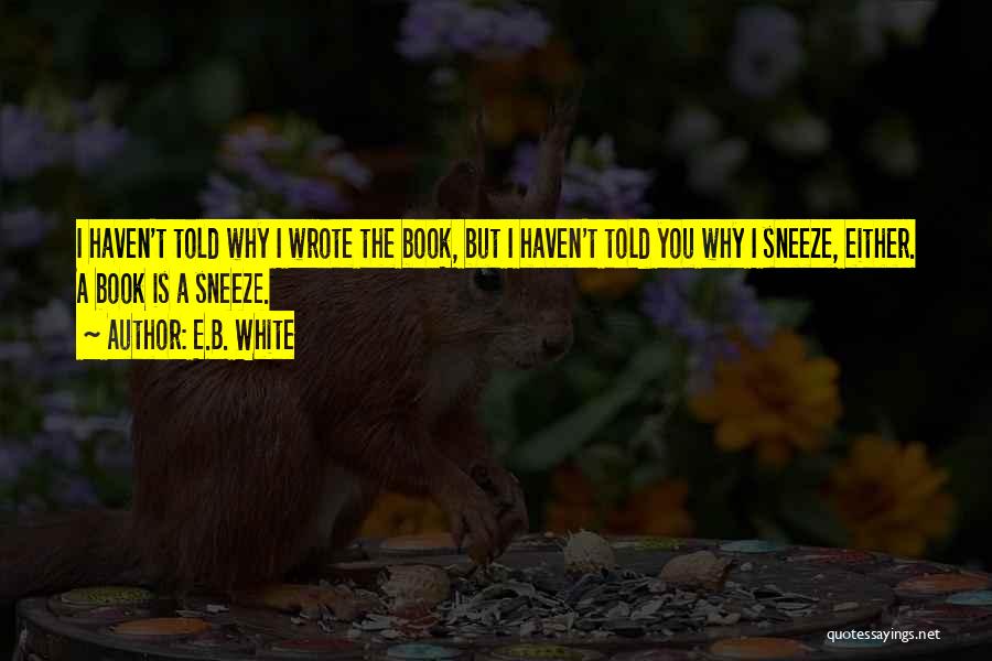 Lamico Designers Quotes By E.B. White