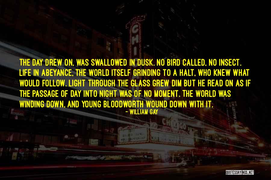 Lamielle Theaters Quotes By William Gay Lamielle Theaters Quotes By William Gay