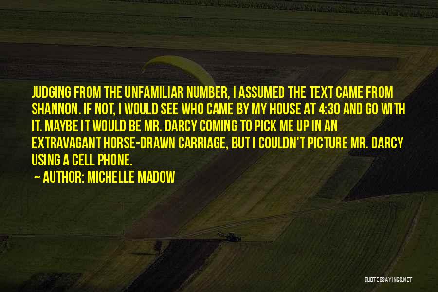 Laminate Benchtop Quotes By Michelle Madow