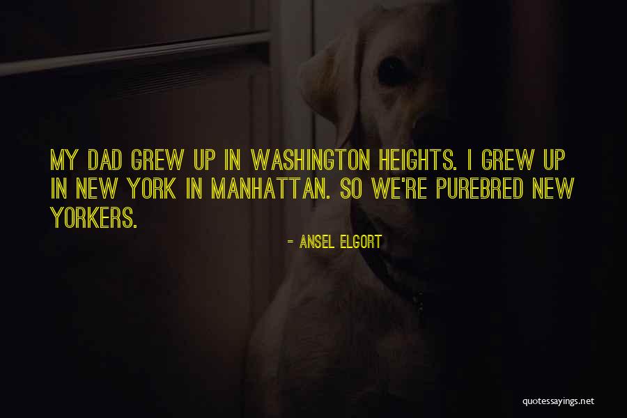 Lamoise Hand Quotes By Ansel Elgort Lamoise Hand Quotes By Ansel Elgort