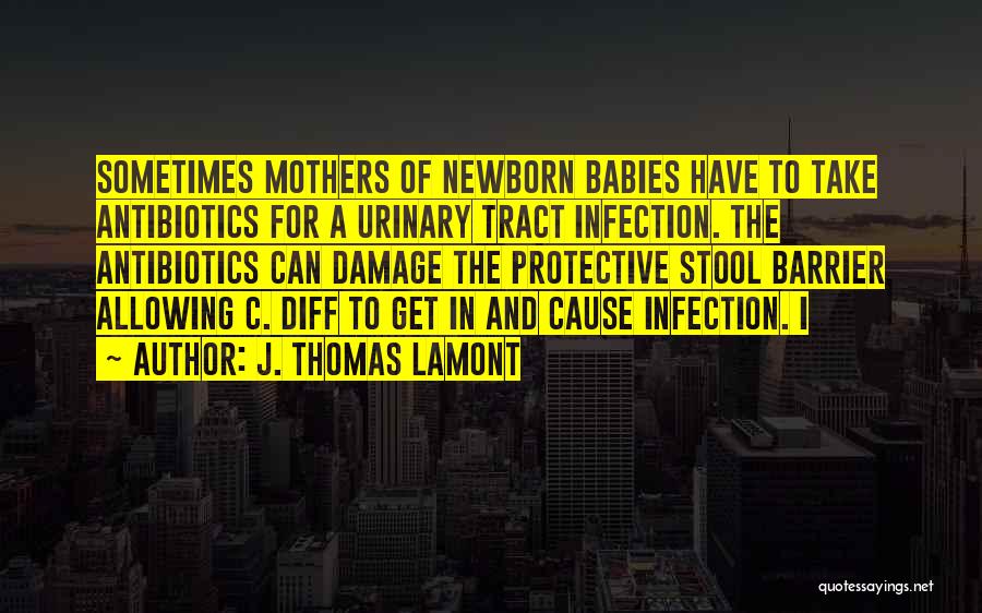 Lamont Quotes By J. Thomas LaMont