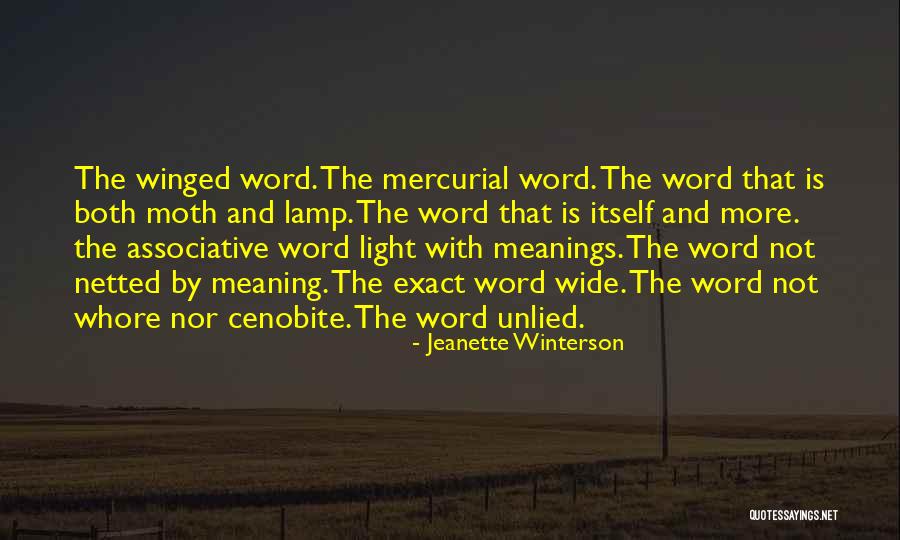 Lamp Light Quotes By Jeanette Winterson Lamp Light Quotes By Jeanette Winterson