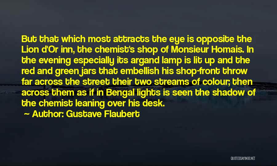 Lamp Lights Quotes By Gustave Flaubert