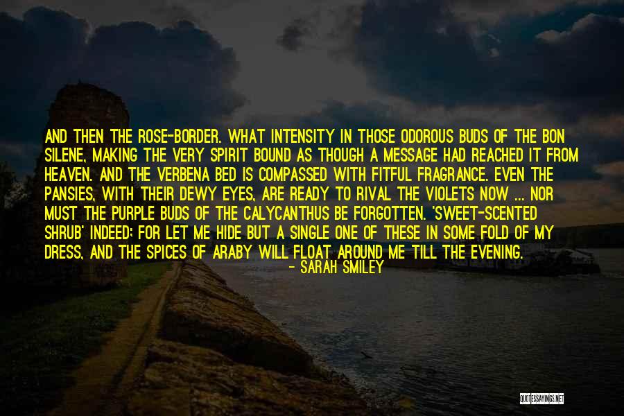 Lamparas Solares Quotes By Sarah Smiley Lamparas Solares Quotes By Sarah Smiley