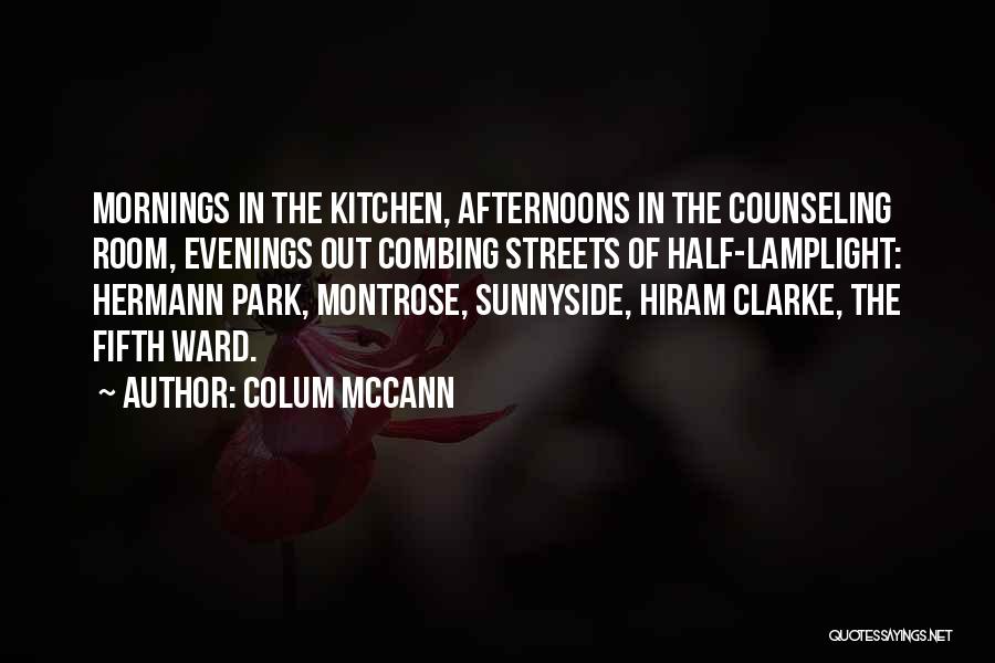 Lamplight Quotes By Colum McCann