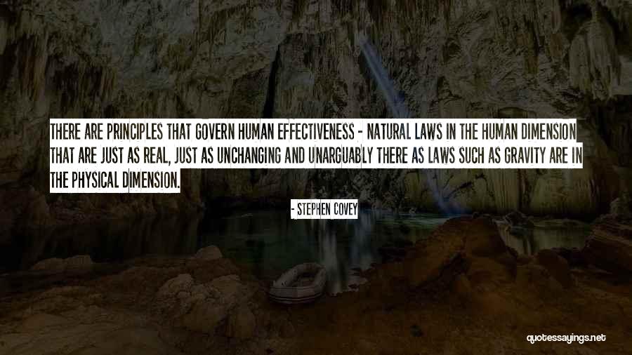 Lamplighters Theater Quotes By Stephen Covey Lamplighters Theater Quotes By Stephen Covey