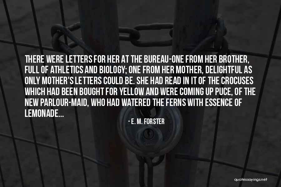 Lamplighters Theatre Quotes By E. M. Forster Lamplighters Theatre Quotes By E. M. Forster