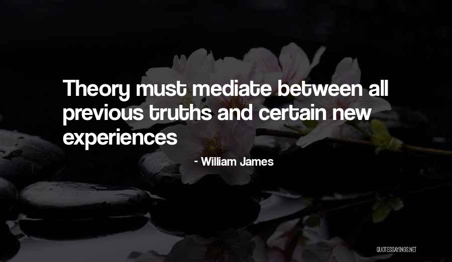 Lampshade Quotes By William James Lampshade Quotes By William James