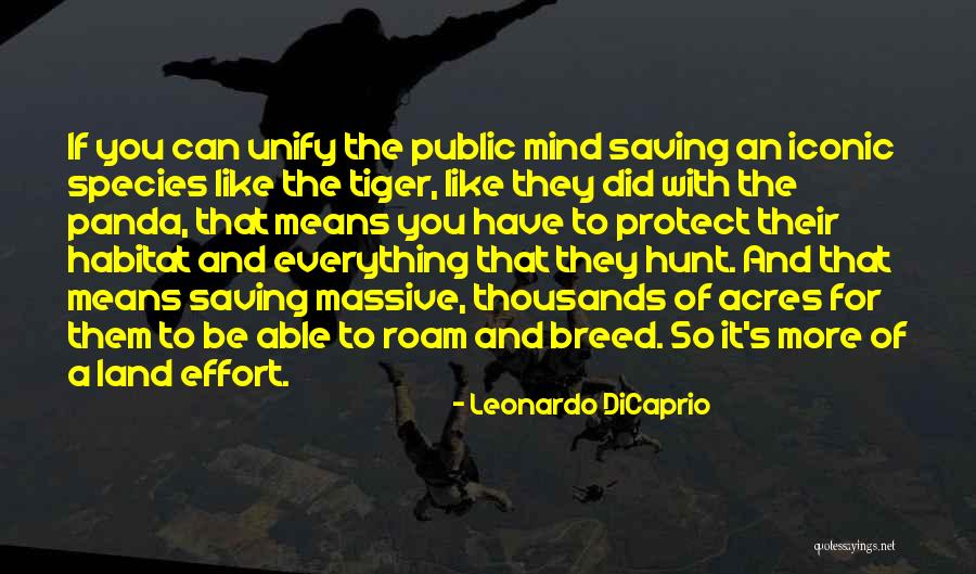 Lampstands In The Time Quotes By Leonardo DiCaprio Lampstands In The Time Quotes By Leonardo DiCaprio