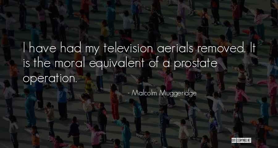Lamrini Rachid Quotes By Malcolm Muggeridge Lamrini Rachid Quotes By Malcolm Muggeridge