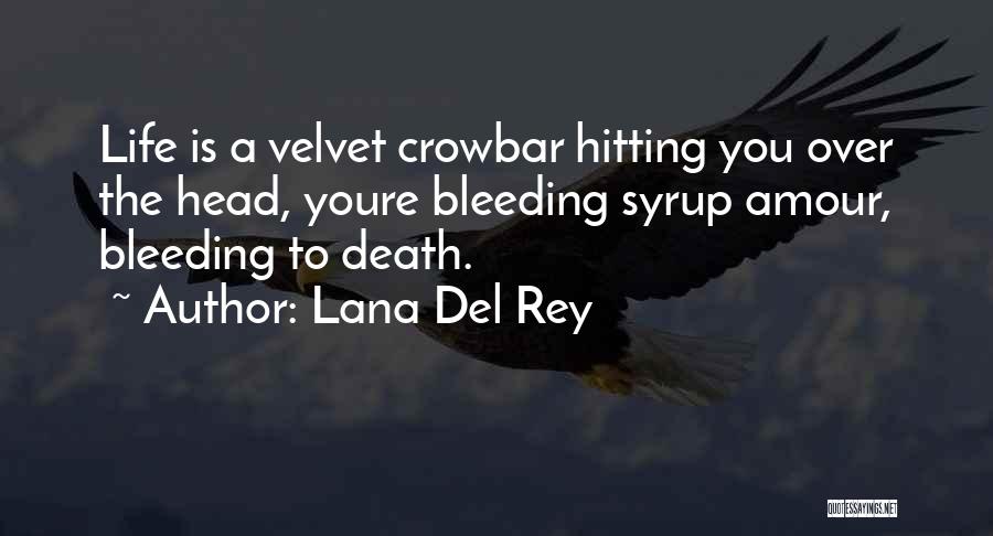 Lana Del Rey Quotes 1088181