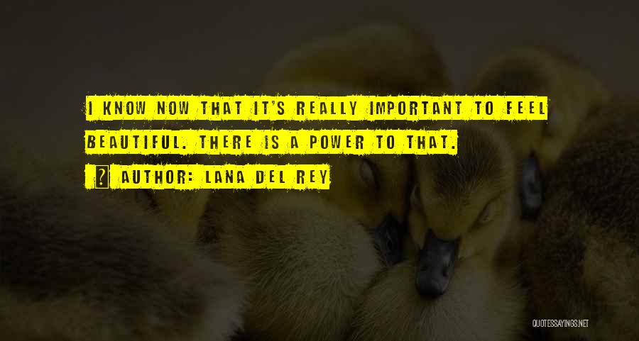 Lana Rey Quotes By Lana Del Rey