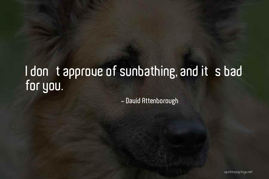 Lancenet Quotes By David Attenborough Lancenet Quotes By David Attenborough