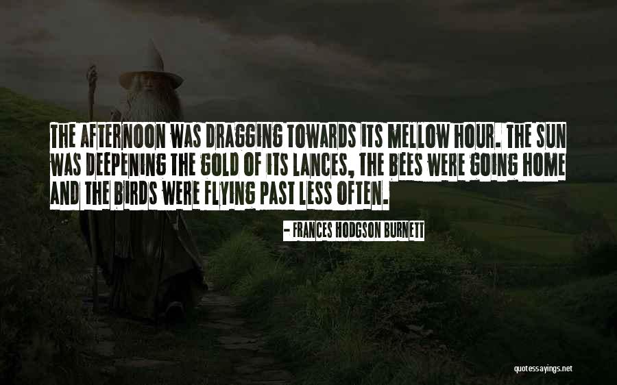 Lances Quotes By Frances Hodgson Burnett Lances Quotes By Frances Hodgson Burnett