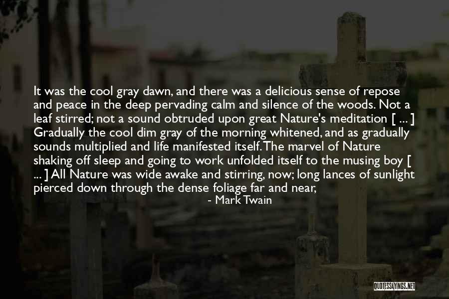 Lances Quotes By Mark Twain Lances Quotes By Mark Twain
