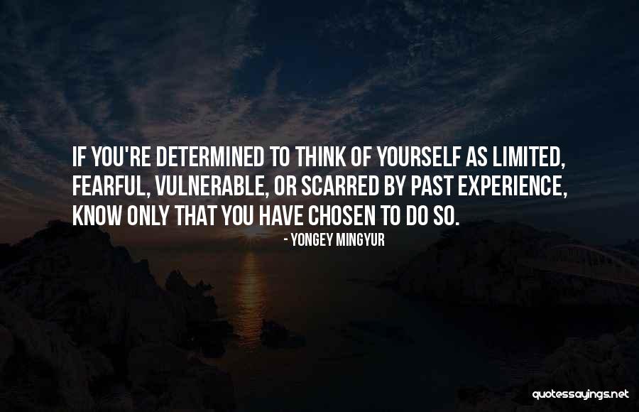 Lanchars Quotes By Yongey Mingyur Lanchars Quotes By Yongey Mingyur