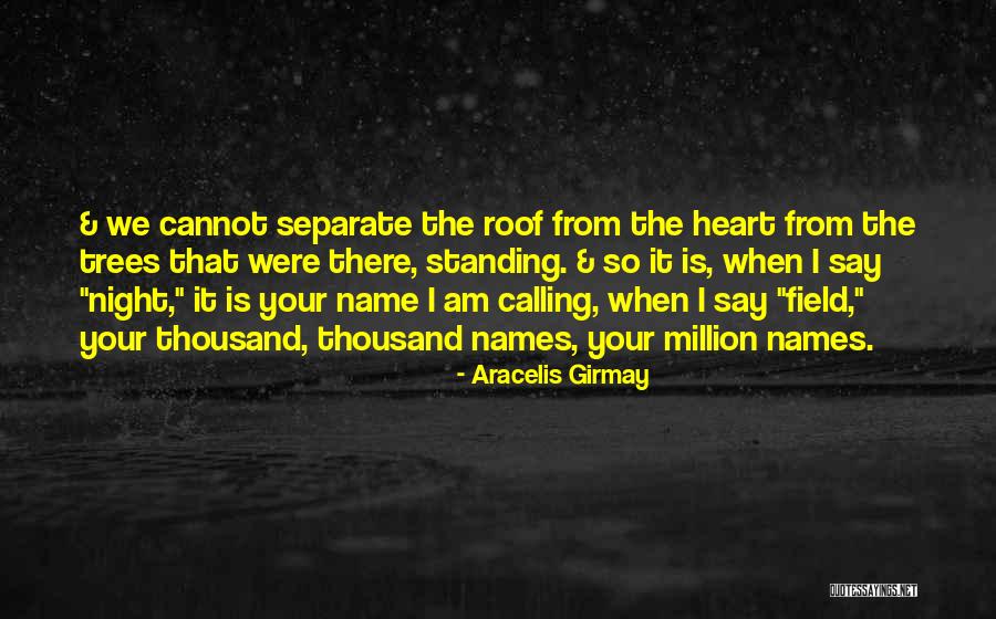 Lanchas A Venda Quotes By Aracelis Girmay Lanchas A Venda Quotes By Aracelis Girmay