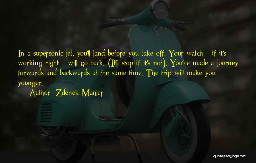 Land Before Time 2 Quotes By Zdenek Mahler